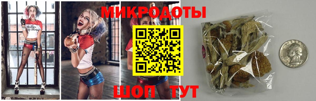 Галлюциногенные грибы Psilocybine cubensis  Вход с VPN  Сердобск 